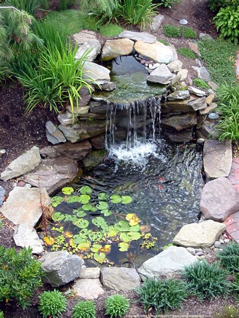 questions  vous poser avant de creer  bassin dans votre jardin