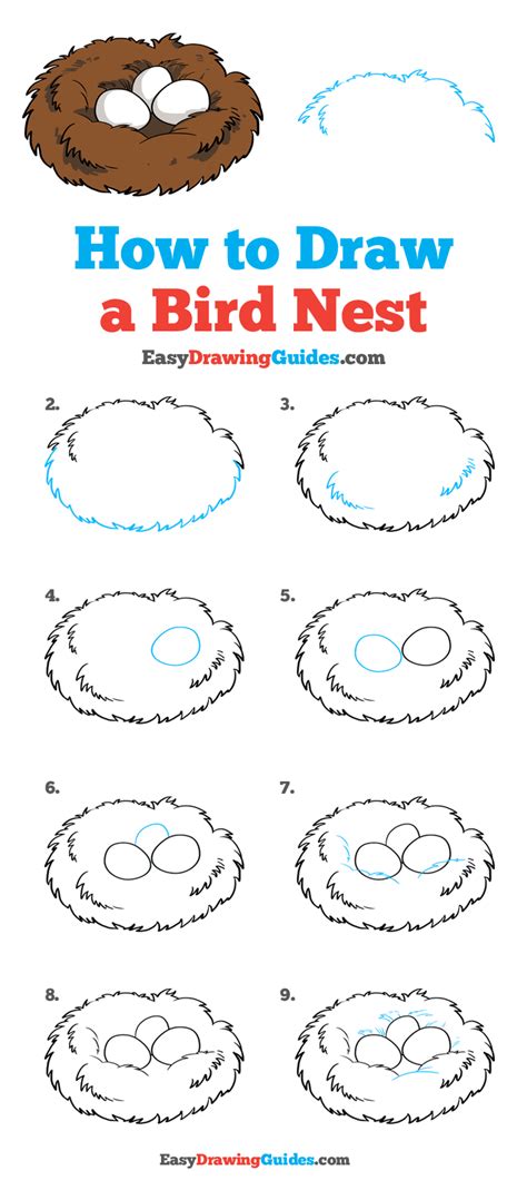 draw  bird nest  easy drawing tutorial