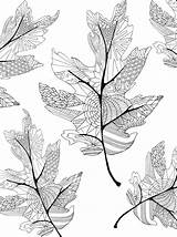 Coloring Pages Fall Leaves Adults Adult Autumn Leaf Colouring Printable Trees Books Sheets Tree Color Book Pattern Kids Lines Halloween sketch template