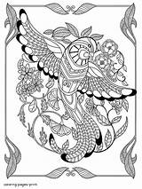 Coloring Pages Bird Printable Adults Many Birds Details Print Adult Look Other sketch template