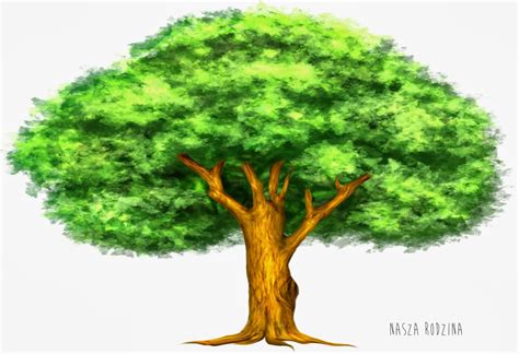 szast  prast drzewo genealogiczne