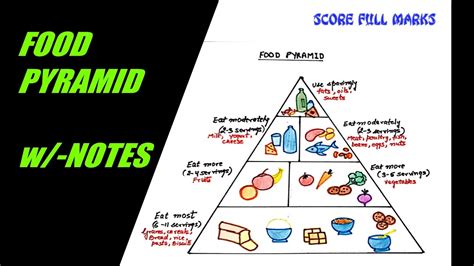healthy food pyramid easy drawing