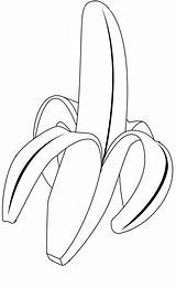 Banana Coloring Pages Color Tree Drawing Print Kids Leaf Tropical Delicious Fruits Vegetable Printable Fruit Kidsplaycolor Peeled Peel Getdrawings Getcolorings sketch template