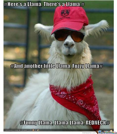 Funny Lama By Paparak Meme Center