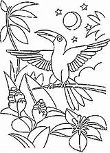 Kolorowanki Tukany Dzieci Ptaki sketch template