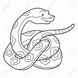 Snake Escamas Viper Vipera Coiled Serpente Vettoriali sketch template