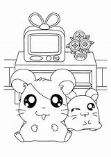 Coloring Pages Hamtaro Room Living Kids Cute Colouring Penelope Pashmina Color Drawing Choose Board Picgifs sketch template