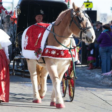 christmas parade ideas images  pinterest christmas costumes
