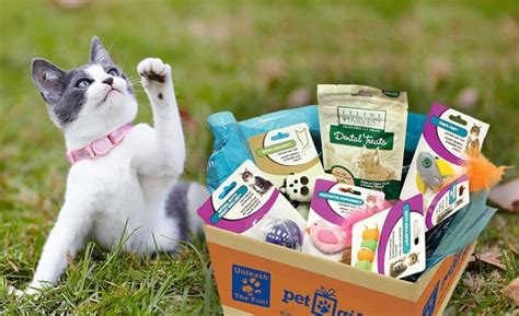 pet gift box find subscription boxes