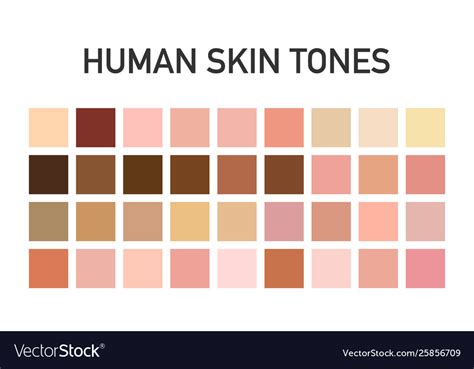 Human Skin Tone Color Palette Set Isolated Vector Image