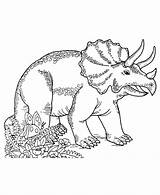 Triceratops Coloring Pages Dinosaur Printable Dinosaurs Sheet Honkingdonkey Kids Activity Color Cartoon Coloringhome sketch template