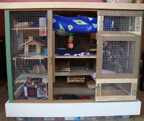 Rat Cages And Toys Homemade Porn