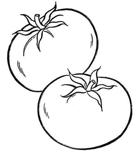 pin  kirsten bennett   doodle vegetable coloring pages fruit