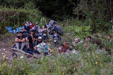 groep migranten zit al twee weken vast aan grens tussen polen en wit rusland buitenland hlnbe
