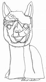 Alpaca sketch template