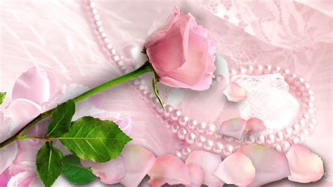 feminine wallpapers hd hd wallpapers backgrounds images art