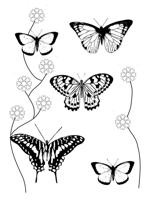 printable coloring pages flowers  butterflies leticia kirk