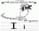 Coloring Alphabet Pages Traditional Printable Iguana sketch template
