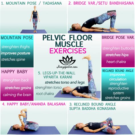 strengthen pelvic muscles  yoga kayaworkoutco