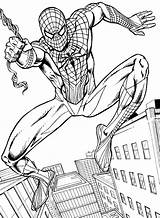 Spiderman Coloring Pages Spider Man Printable Boys Spectacular Kids Superhero Popular Library Swing Educative sketch template