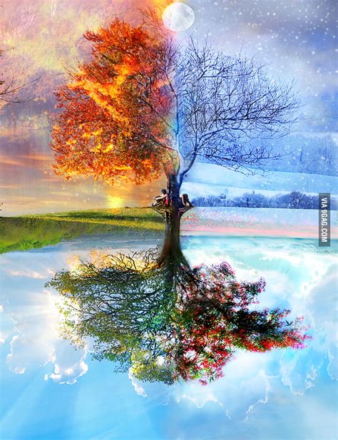 tree  seasons gag