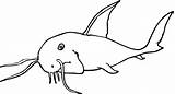 Catfish Gato Pez Contorno Wels Redtail Welse Ausmalbilder Bluegill sketch template