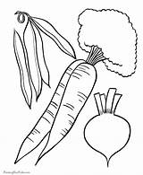 Vegetables Coloring Pages Vegetable Fruits Food Printable Kids Print Fruit Color Clipart Colouring Animal Veggies Templates Template Library Books Preschoolers sketch template