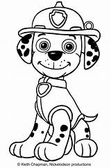 Paw Patrol Marshall Coloring Pages Choose Board Skye sketch template