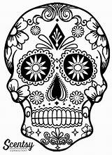 Catrina Coloring Pages Getcolorings sketch template