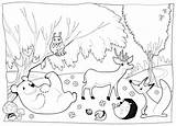 Tiere Kidspressmagazine Schwarzweiss Ausmalbilder Animali Legno Wald Blanc Camping sketch template