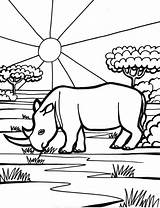 Rinoceronte Colorir Savana Rinocerontes Nashorn Rinocer Imprimir Ausmalbilder Colorat Rhinozeros Rhinoceros Tudodesenhos Genial Planse Importante Hipopótamo sketch template