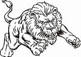Lion Drawing Coloring Pages Lions Fighting Mountain Getdrawings sketch template