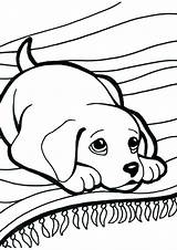 Pages Coloring Puppies Baby Cute Getcolorings sketch template