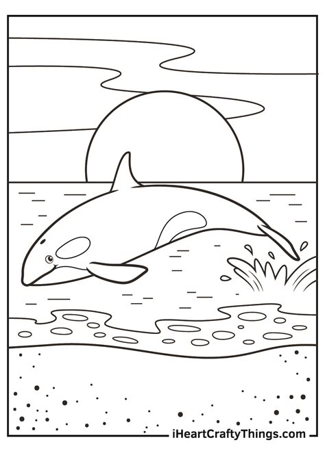 killer whale coloring page