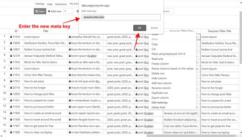 wordpress posts rename custom fields  change meta keys