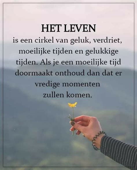 cool words wise words words  wisdom netherlands quotes sef quotes