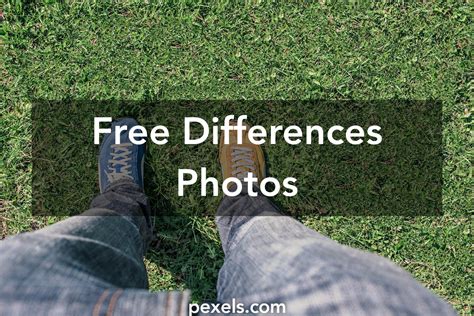 stock   differences pexels