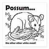 Opossum Nocturnal Possum Cafepress sketch template