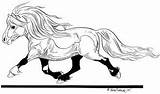 Horse Shetland Lena Furberg Outline Shettis sketch template