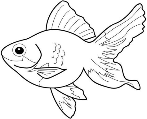 printable coloring page fish coloring pages