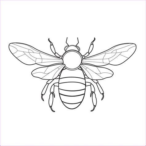 bee coloring pages stock bee coloring pages coloring