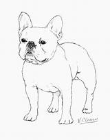 Frenchie Franse Bulldogs Buldog Hond Terrier sketch template