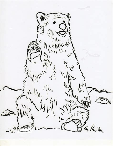 grizzly bear coloring page samantha bell