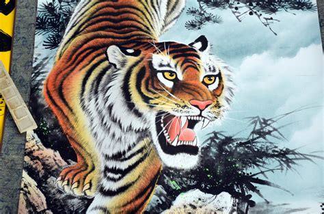 images fauna painting art illustration tiger animals china
