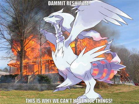 Reshiram Burn This Is Why We Can T Have Nice Things Know Your Meme