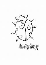Coloring Ladybug Pages Kids Printable sketch template