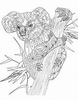 Coloring Pages Adult Colouring Koala Animals Mandala Printable Wattle Golden Amazing Book Animaux Inspirations Coloriage Animal Sheets Books Bears Christmas sketch template