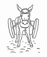 Donkey Esel Ausmalbilder Ausmalbild Kidsfree Mule sketch template