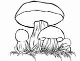 Champignon Champignons Mushroom Imprimer Dessiner Coloriages Professionnels Cueilleurs Visages Arouisse sketch template