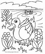 Coloring Pages Ducks Color Animal Printable Duck Pond Sheets Kids Found sketch template